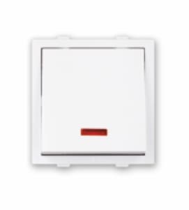 1 Way Switch with Neon